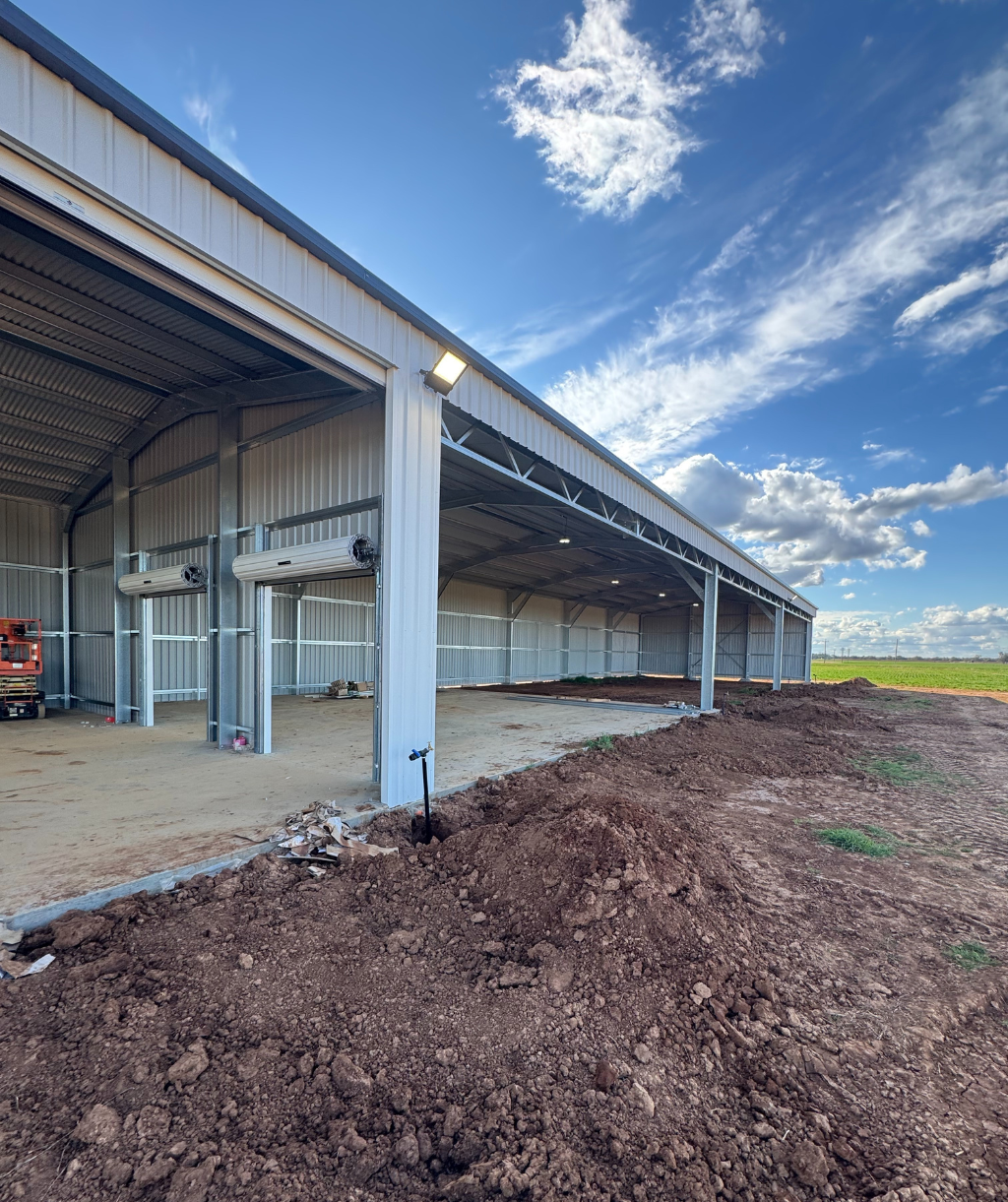 Untitled design - 2025-08-22T112246.833